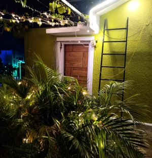 WhatsApp Image 2023-12-15 at 5.37.00 PM